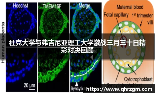 杜克大学与弗吉尼亚理工大学激战三月三十日精彩对决回顾